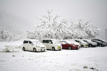 Winter at Kawaguchi-ko, Japan. First snow in 2016.