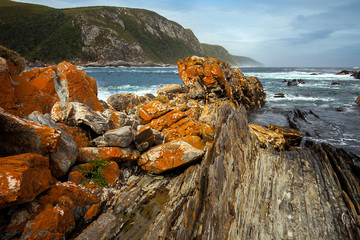Tsitskamma Nationalpark Südafrika