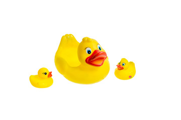 Cute yellow rubber duck isolated over white background. The family of yellow rubber ducks.