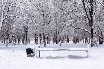 urban central park on the first snowy day of winter