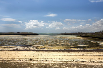 Coastal vegetation Indian Ocean. Amoronia orange bay, north of Madagascar