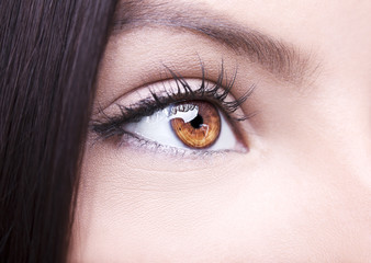 Fototapeta premium Beautiful insightful look brown woman's eye
