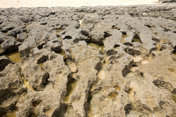 rocky shores of the Indian Ocean, Aronia orange bay, north of Madagascar