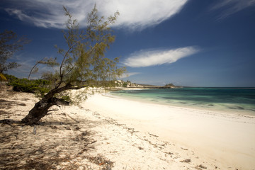 Coastal vegetation Indian Ocean. Amoronia orange bay, north of Madagascar