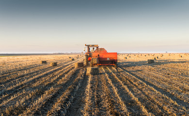 bale of soybean