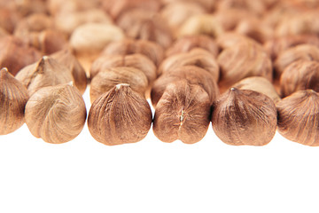 Hazelnut border on white background. Pile of selected hazel close-up. Isolated. For vegetarians.