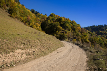 Fototapeta na wymiar Beautiful autumn mountain landscape in Svaneti. Georgia
