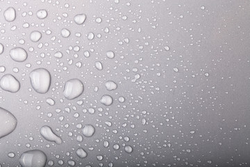 Drops of water on a color background. Gray