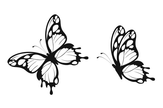 Butterfly stencil