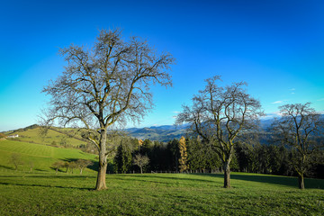 Mostviertel in Austria