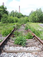 Overgrown railroad track with focus on the foreground. © eivaisla