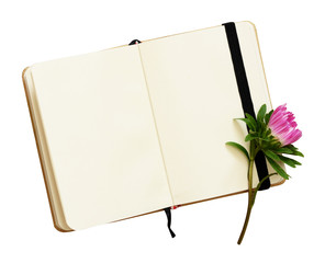 Open notebook and aster flower