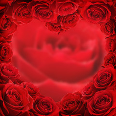 Red rose heart shape frame and flower