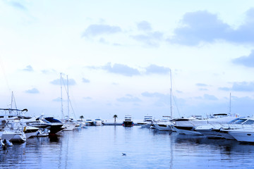 Harbor scene with anchored sailing ships  and motor yachts at blue hour.