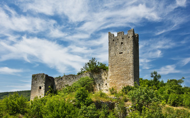 Fototapeta na wymiar old ruins of ancient town Dvigrad, Croatia