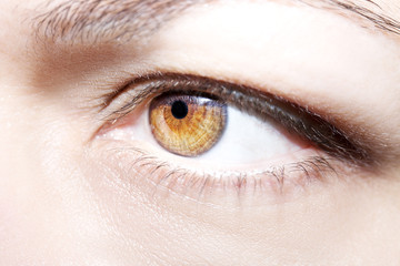 Fototapeta premium Beautiful insightful look brown woman's eyes