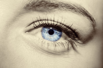 Beautiful insightful look blue woman's eyes
