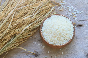 grain rice