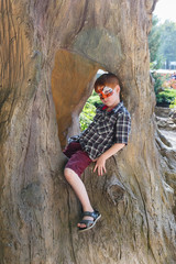 Boy child outdoors sit in tree with butterfly face painting