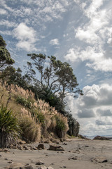 Goat Island Marine Reserve in New Zealand