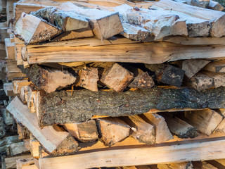 Brennholz für den Winter