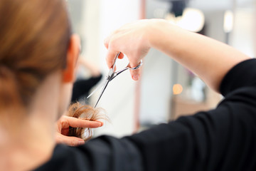 Podcinanie rozdwojonych końcówek włosów.
Fryzjer strzyże kobietę w salonie fryzjerskim
 - obrazy, fototapety, plakaty