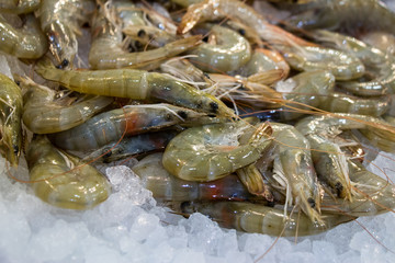 The raw shrimps on ice in fish shop for sale.