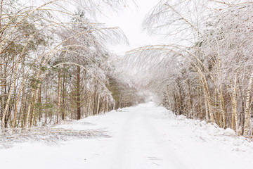 Дорога в деревню после ледяного дождя