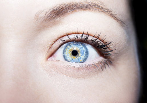 Beautiful insightful look blue woman's eye