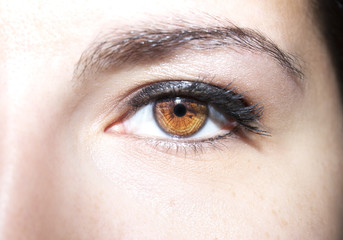 Beautiful insightful look brown woman's eye