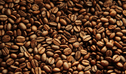Fototapeta premium Coffee beans for background