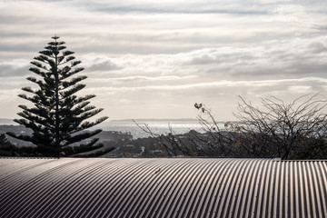 Beach in Northland, New Zealand