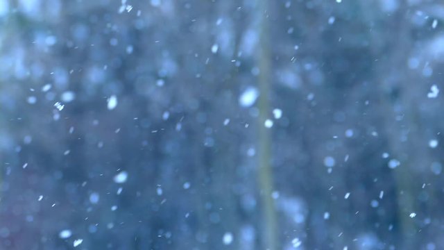 Snow gracefully falling in sunlight, slow motion, perfect winter background loop.
