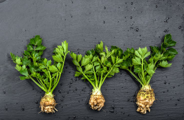 Root of celery with leaves, green vegetables, local market produce