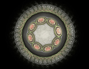 Particles of abstract fractal forms on the subject of nuclear ph