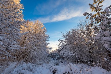 Obraz na płótnie Canvas Fantastic morning winter landscape