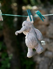 doudou en peluche séchant sur un fil © papinou
