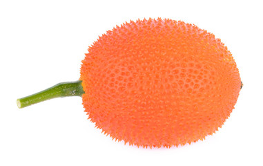 momordica fruit on white background