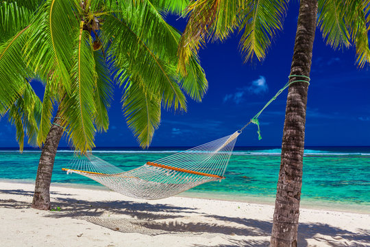 Hammock between palm trees on tropical beach of Rarotonga, Cook