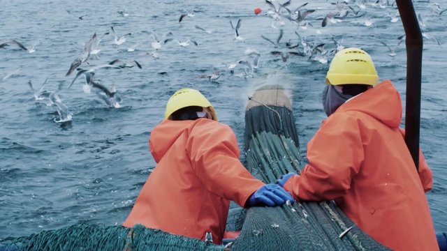 Crew of Fishermen Work on Commercial Fishing Ship that Pulls Trawl Net. Shot on RED Cinema Camera in 4K (UHD). 