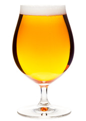 Tulip glass of pilsner beer with small head isolated