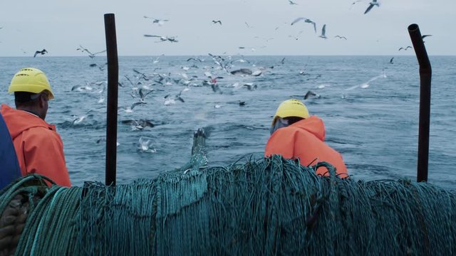 Crew of Fishermen Work on Commercial Fishing Ship that Pulls Trawl Net. Shot on RED Cinema Camera in 4K (UHD). 
