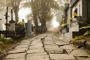 Old graves and fog. The main cemetery in Przemysl, Poland. The main municipal cemetery - founded...