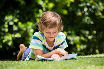 A little boy is reading a book