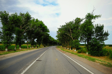 Countryside road with trees