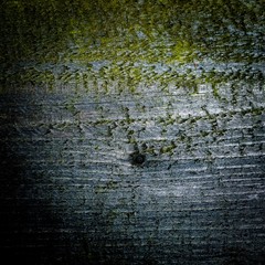 Obraz premium Destroyed wood background with texture