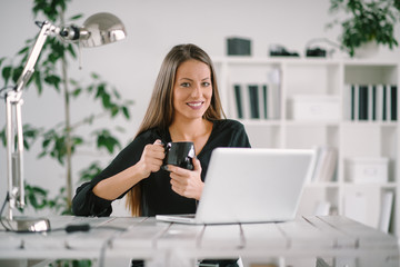 Attractive business woman working in modern office