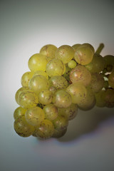 grüne Weintrauben