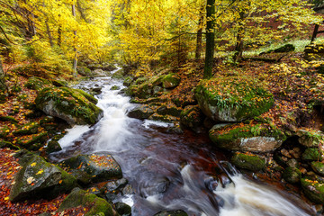 Fluss Ilse im Harz