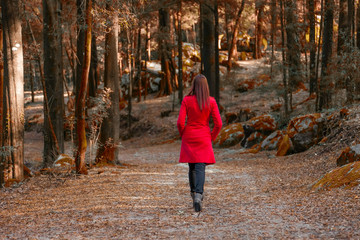 Young woman walking away alone on a forest path wearing a red overcoat.